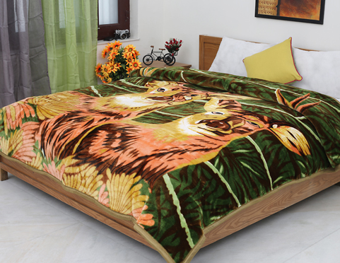 Raschel Mink Blankets