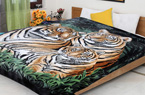 Raschel Mink Blankets